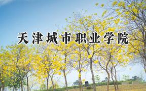 天津城市职业学院2024在贵州录取分数线是多少？最低277分/最高386分