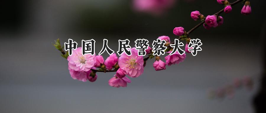中国人民警察大学