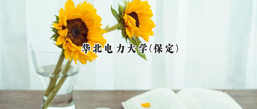 华北电力大学(保定)