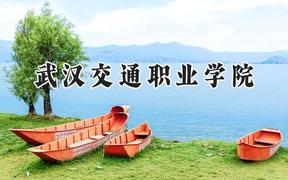 武汉交通职业学院2024在江苏录取分数线是多少？最低370分/最高466分