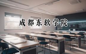 成都东软学院2024在上海录取分数线是多少？最低408分/最高415分