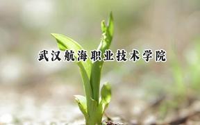 武汉航海职业技术学院2024在山西录取分数线是多少？最低304分/最高334分