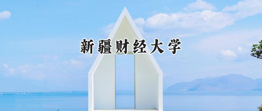 新疆财经大学