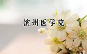 2024滨州医学院录取分数线：江苏最低507分