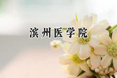 2024滨州医学院录取分数线：江苏最低507分