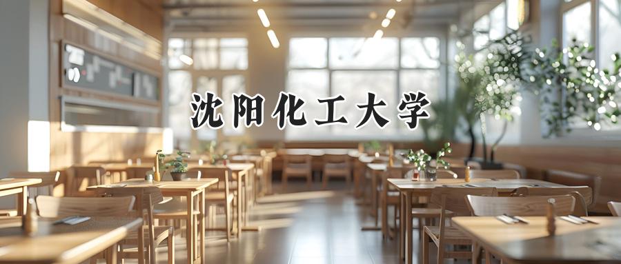 沈阳化工大学