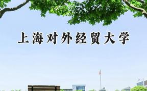 上海对外经贸大学2024在上海录取分数线是多少？最低512分/最高535分