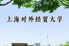 上海对外经贸大学2024在上海录取分数线是多少？最低512分/最高535分