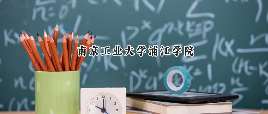南京工业大学浦江学院