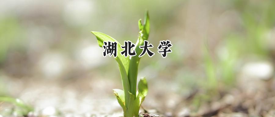 湖北大学