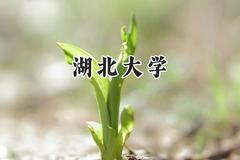 湖北大学2024在辽宁录取分数线是多少？最低522分/最高593分