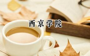 西京学院2024在山西录取分数线是多少？最低387分/最高433分