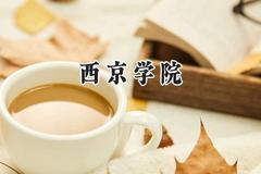 西京学院2024在山西录取分数线是多少？最低387分/最高433分
