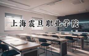 2024上海震旦职业学院录取分数线：江苏最低246分
