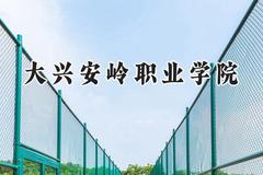 2024大兴安岭职业学院录取分数线：宁夏最低334分