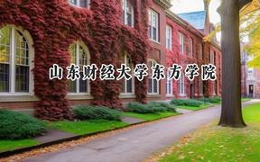 山东财经大学东方学院2024在重庆录取分数线是多少？最低447分/最高470分