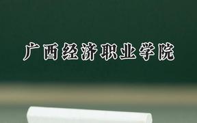 2024广西经济职业学院录取分数线：宁夏最低247分