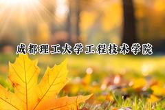 2024成都理工大学工程技术学院录取分数线：江苏最低466分
