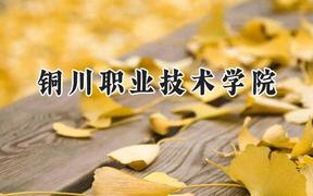 2024铜川职业技术学院录取分数线：宁夏最低335分