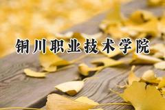 2024铜川职业技术学院录取分数线：宁夏最低335分