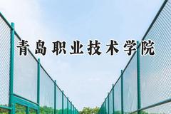 青岛职业技术学院2024在山西录取分数线是多少？最低302分/最高352分