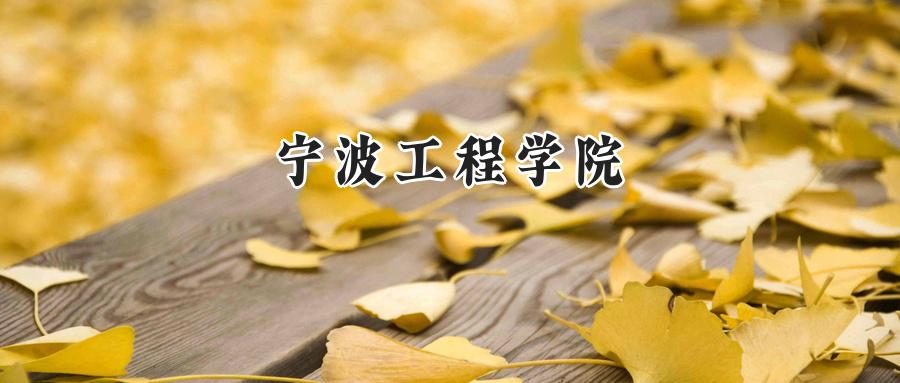 宁波工程学院
