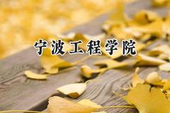 2024宁波工程学院录取分数线：青海最低345分