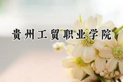 贵州工贸职业学院2024在四川录取分数线是多少？最低295分/最高336分