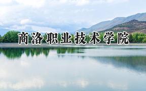 2024商洛职业技术学院录取分数线：山西最低298分