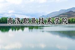 2024商洛职业技术学院录取分数线：山西最低298分