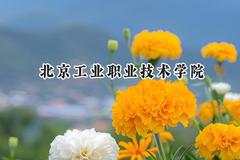 北京工业职业技术学院2024在天津录取分数线是多少？最低260分/最高275分
