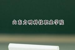 山东力明科技职业学院2024在河北录取分数线是多少？最低270分/最高425分