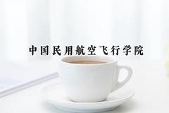 2024中国民用航空飞行学院录取分数线：天津最低560分