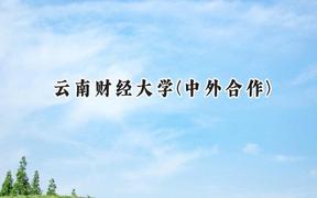 云南财经大学(中外合作)2024在重庆录取分数线是多少？最低487分/最高527分