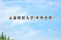 云南财经大学(中外合作)2024在重庆录取分数线是多少？最低487分/最高527分