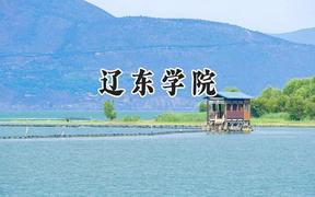 辽东学院2024在贵州录取分数线是多少？最低374分/最高504分