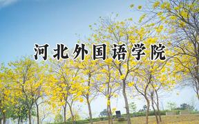 2024河北外国语学院录取分数线：宁夏最低379分