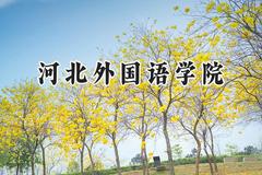 2024河北外国语学院录取分数线：宁夏最低379分