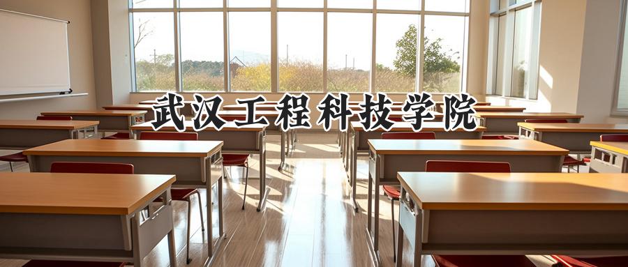 武汉工程科技学院