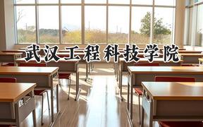 武汉工程科技学院2024在四川录取分数线是多少？最低473分/最高497分