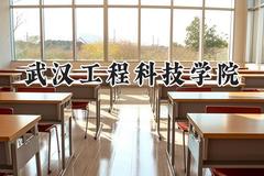 武汉工程科技学院2024在四川录取分数线是多少？最低473分/最高497分
