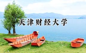 天津财经大学2024在重庆录取分数线是多少？最低540分/最高586分