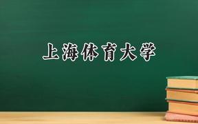 上海体育大学2024在上海录取分数线是多少？最低485分/最高511分