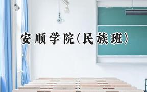安顺学院(民族班)2024在贵州录取分数线是多少？最低427分/最高512分
