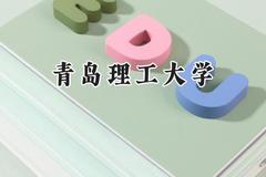 青岛理工大学2024在辽宁录取分数线是多少？最低521分/最高617分