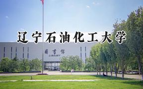 2024辽宁石油化工大学录取分数线：天津最低529分