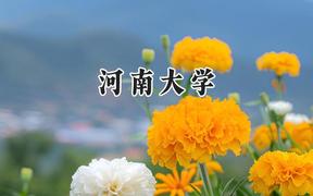 河南大学2024在内蒙古录取分数线是多少？最低483分/最高560分
