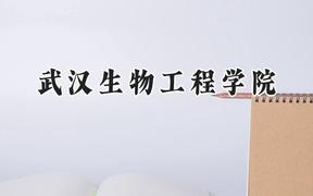 2024武汉生物工程学院录取分数线：天津最低477分