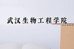 2024武汉生物工程学院录取分数线：天津最低477分