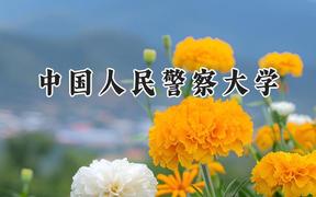 2024中国人民警察大学录取分数线：宁夏最低442分